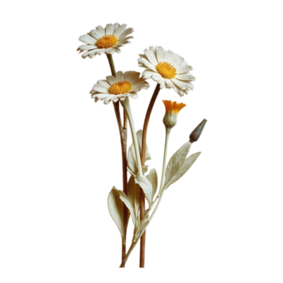 Decorative flower