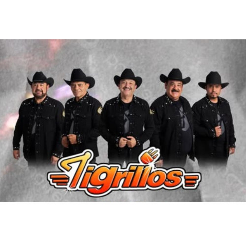 Los Tigrillos